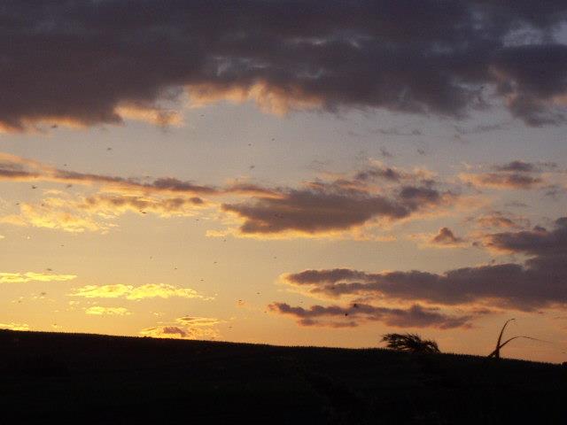 pescuit - PICT0436.jpg